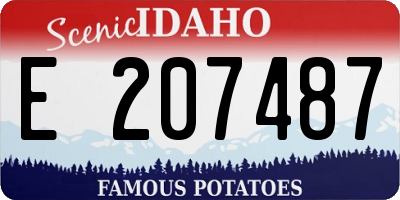 ID license plate E207487