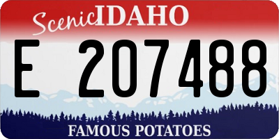 ID license plate E207488