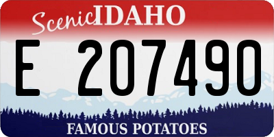 ID license plate E207490