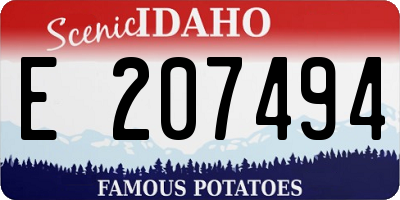 ID license plate E207494