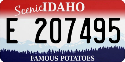 ID license plate E207495
