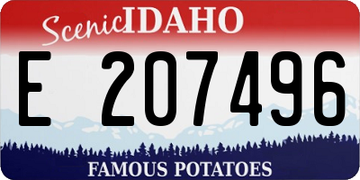 ID license plate E207496
