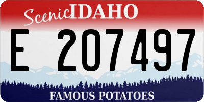 ID license plate E207497