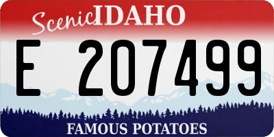 ID license plate E207499