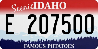 ID license plate E207500