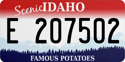 ID license plate E207502
