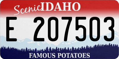 ID license plate E207503