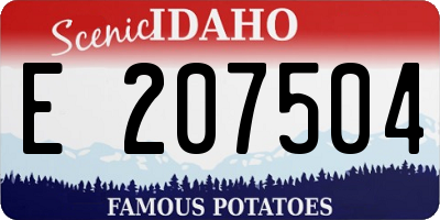 ID license plate E207504