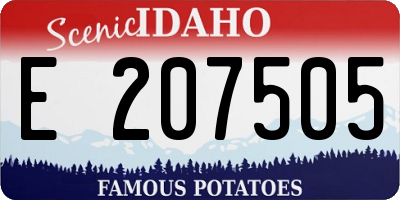 ID license plate E207505