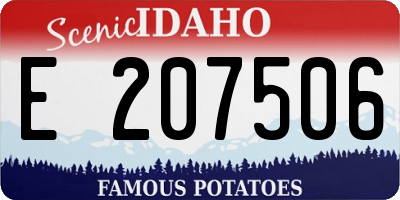 ID license plate E207506