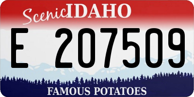 ID license plate E207509
