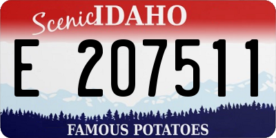 ID license plate E207511