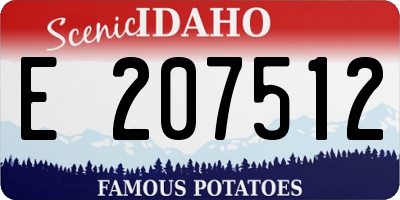ID license plate E207512