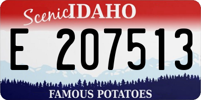 ID license plate E207513
