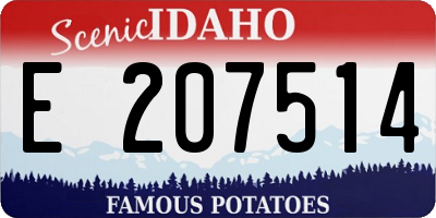 ID license plate E207514