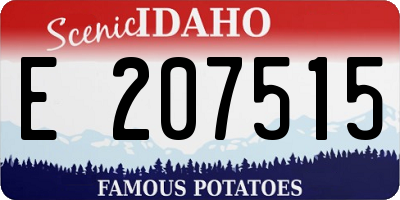 ID license plate E207515