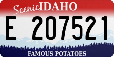 ID license plate E207521