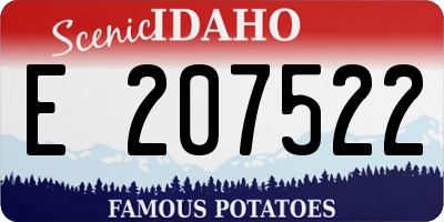ID license plate E207522