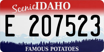 ID license plate E207523