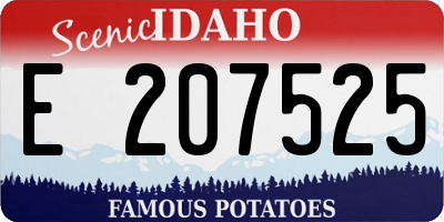 ID license plate E207525