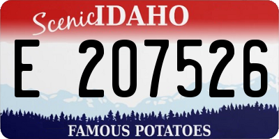 ID license plate E207526