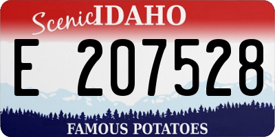 ID license plate E207528