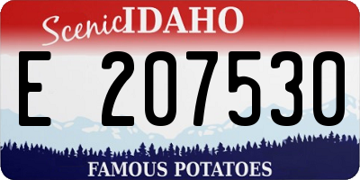 ID license plate E207530