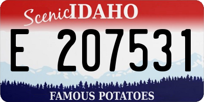 ID license plate E207531