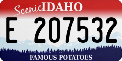 ID license plate E207532