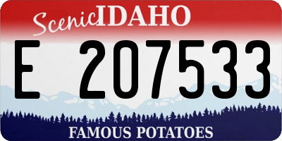 ID license plate E207533