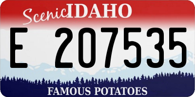 ID license plate E207535