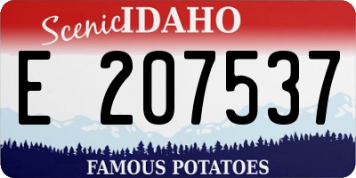 ID license plate E207537