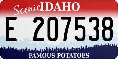 ID license plate E207538