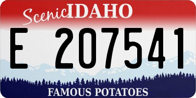 ID license plate E207541