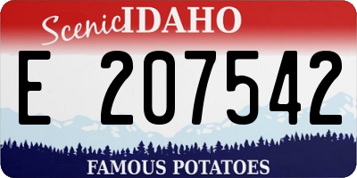 ID license plate E207542
