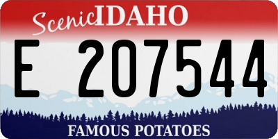 ID license plate E207544