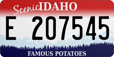 ID license plate E207545