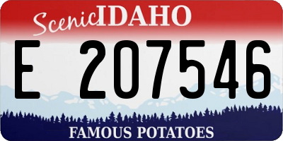 ID license plate E207546