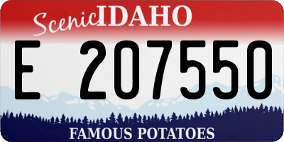 ID license plate E207550