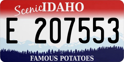 ID license plate E207553