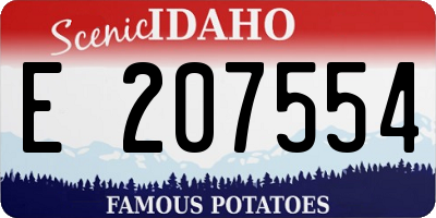 ID license plate E207554