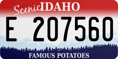 ID license plate E207560