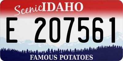 ID license plate E207561