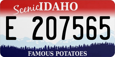 ID license plate E207565