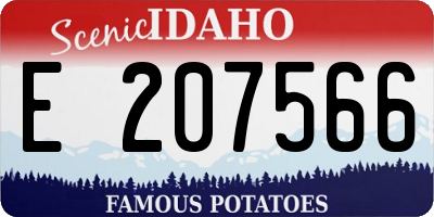 ID license plate E207566