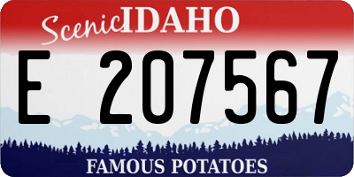 ID license plate E207567