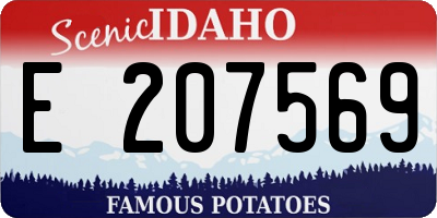 ID license plate E207569