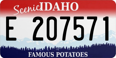 ID license plate E207571