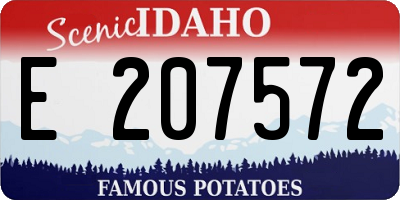 ID license plate E207572