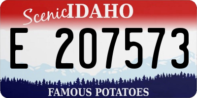 ID license plate E207573